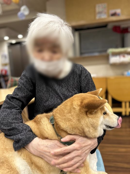 犬と楽しい時間を過ごす室内