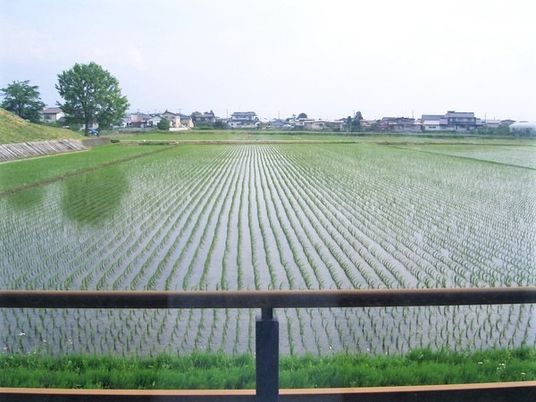 緑豊かな田園風景