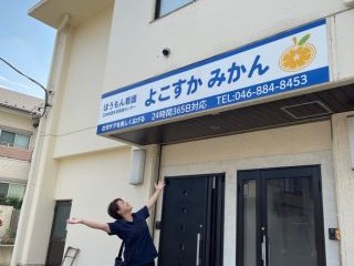 よこすか みかんの外観