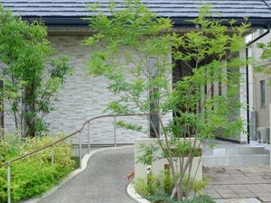 緑のある玄関前  