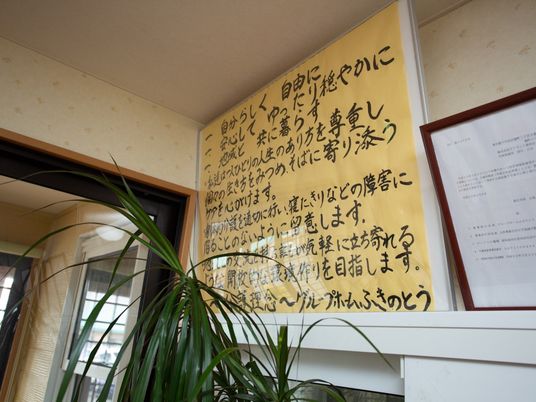 壁掛けの掲示物と植物