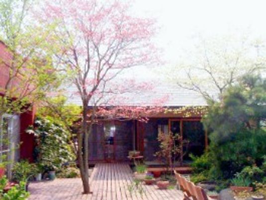 花咲く中庭の木道  