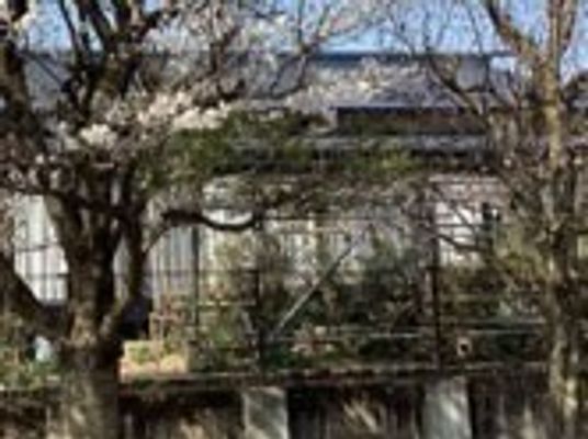 桜が咲く外観の建物