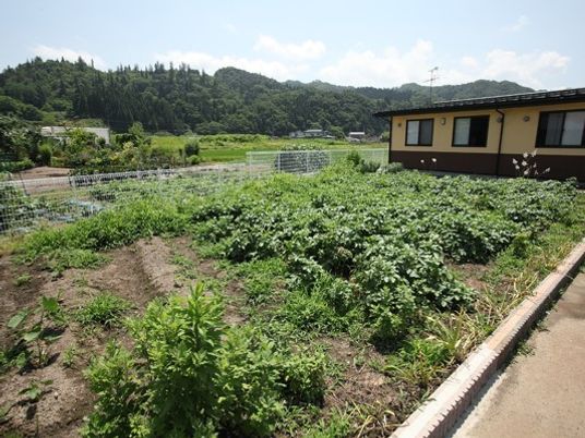 緑豊かな庭の一角