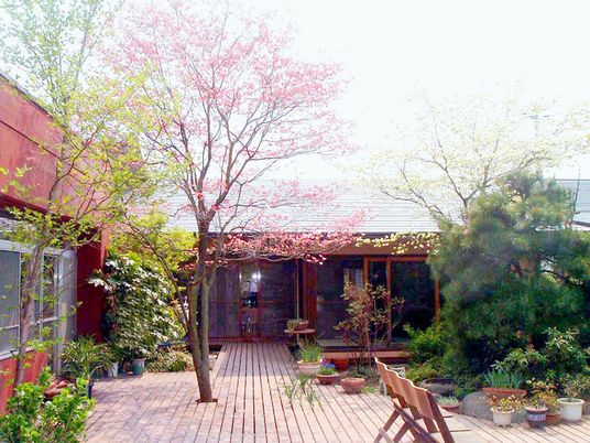 桜と緑の中庭