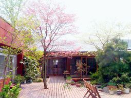 春の中庭景色