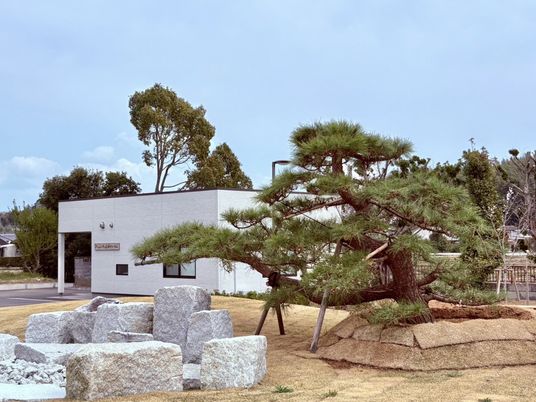 庭のある建物外観  