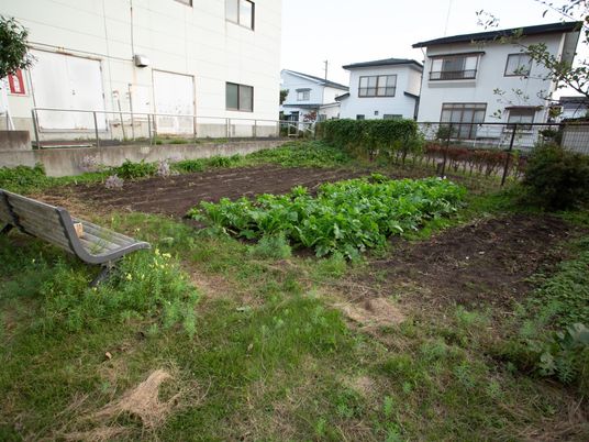 緑あふれる中庭