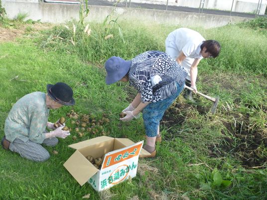 居住者の農作業活動