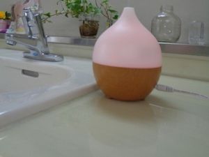 洗面台の加湿器  