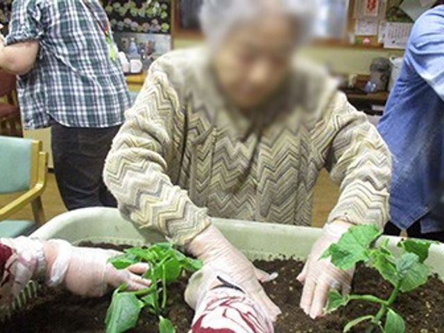 室内で作業する様子 多目的室 緑豊かな植物を育てる活動を仲間と共に楽しめる場所です。リラックスできる環境が整っています。