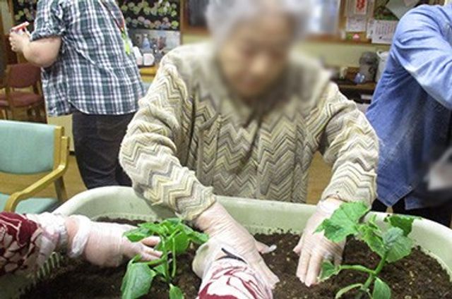室内で作業する様子 多目的室 緑豊かな植物を育てる活動を仲間と共に楽しめる場所です。リラックスできる環境が整っています。