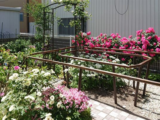花咲く中庭  