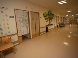 明るい廊下の装飾