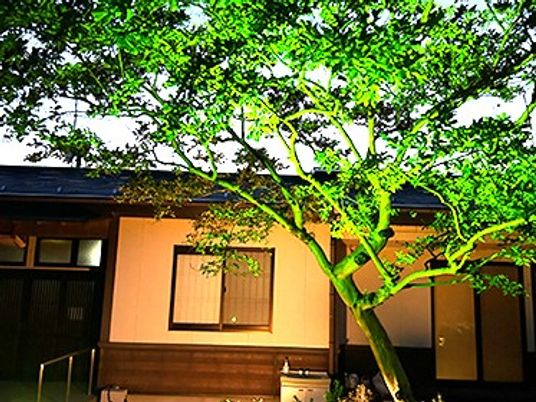 夜の庭木と建物の外観  