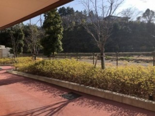 庭園の見えるテラス テラス   屋外のテラスから、手入れされた植栽と木々を眺められます。日差しを感じながら、気分転換しやすい空間です。