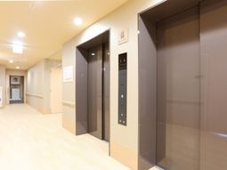 清潔な廊下とエレベーター