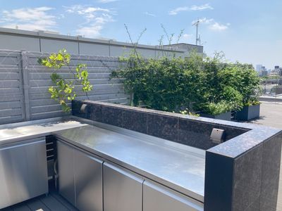 明るい屋上の緑豊かな空間