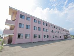 ピンクの壁の建物 外観