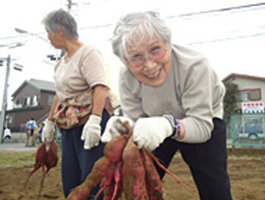 笑顔で野菜を収穫する高齢者