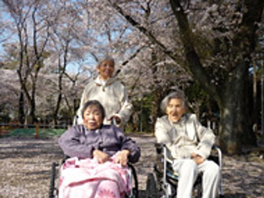 桜と笑顔の三人組