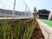 中庭の植栽と通路  