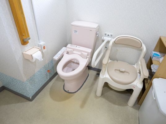手すり付きトイレ  