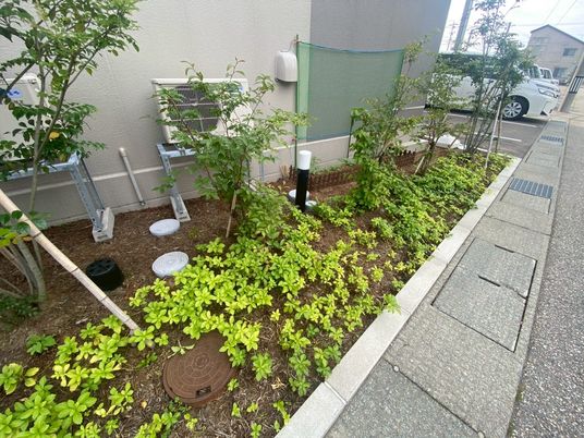 緑が植えられた庭