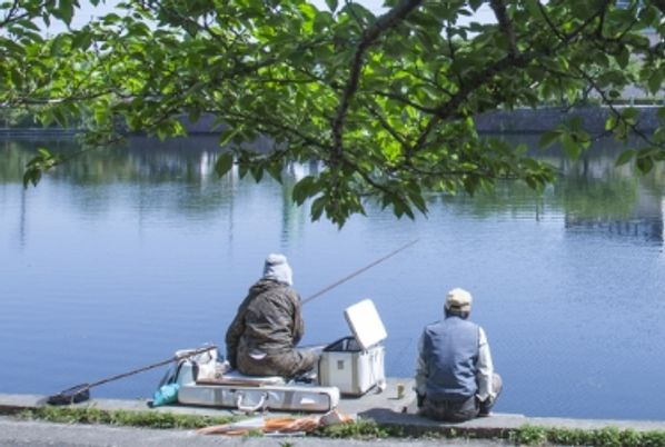釣りをする人々の背後