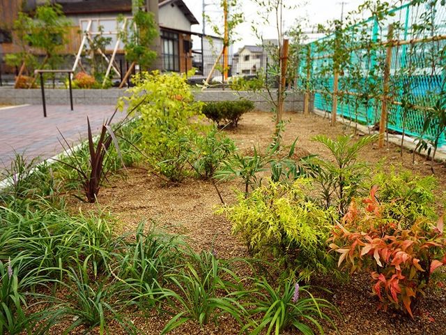 庭園の緑の植物 庭 手入れが行き届いた中庭です。季節ごとの花々や緑を眺めながら心が和むひと時を過ごせます。