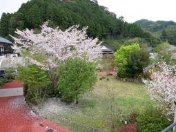 春の庭園風景