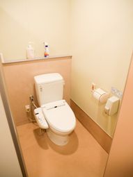 清潔なトイレの様子