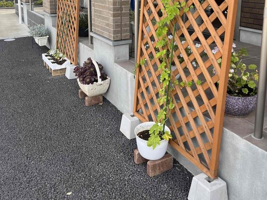 花壇のある外観  