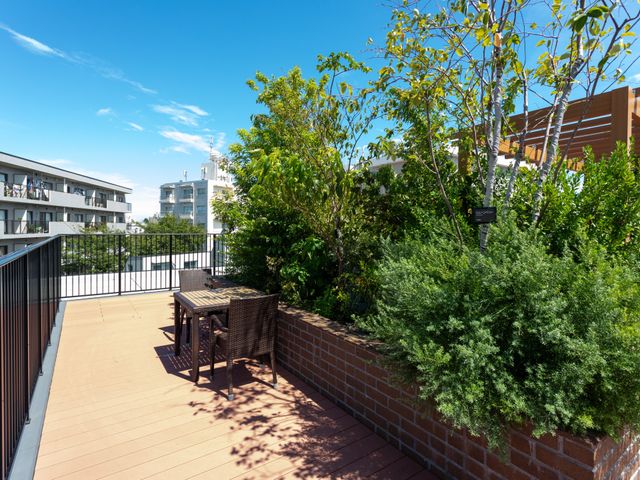 癒しの中庭風景 中庭 青空の下、植物が茂る心地よい中庭です。椅子に座って、のんびりとした時間を過ごすことができる空間があります。