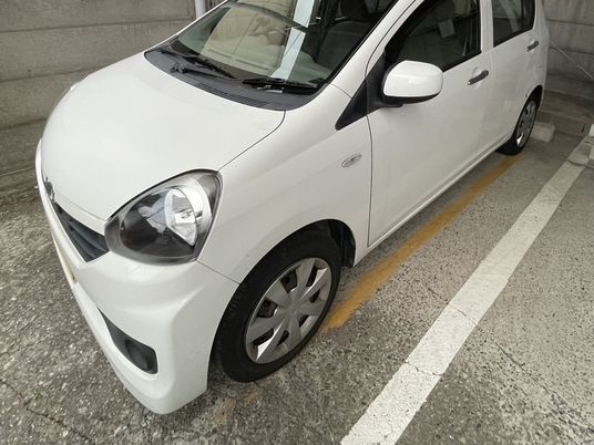 駐車中の白い車 外観  