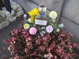 色とりどりの花の庭