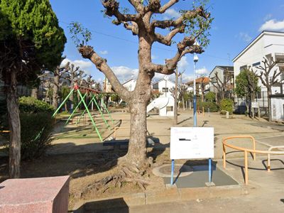 広々した緑豊かな中庭