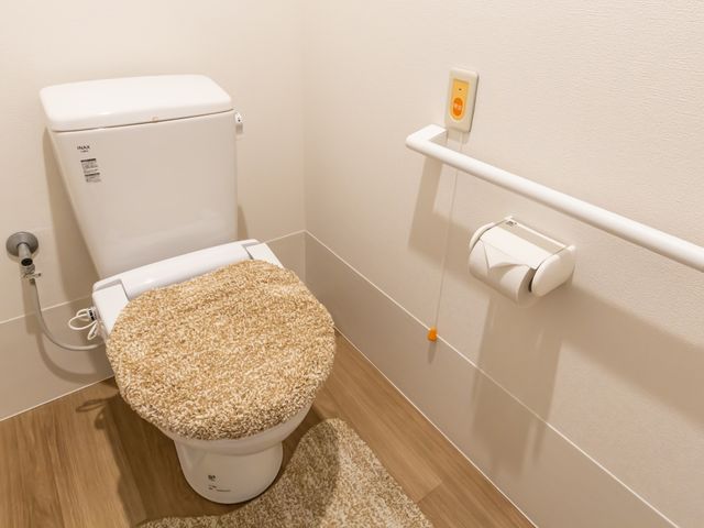 バリアフリーのトイレ トイレ 清潔で広々としたトイレです。安全な手すりが設置され、ご利用者様に快適です。