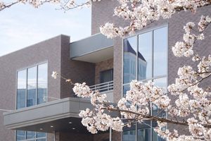 桜が咲く建物の外観