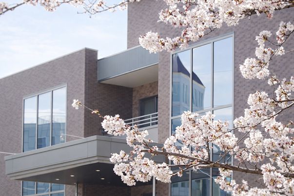 桜が咲く建物の外観