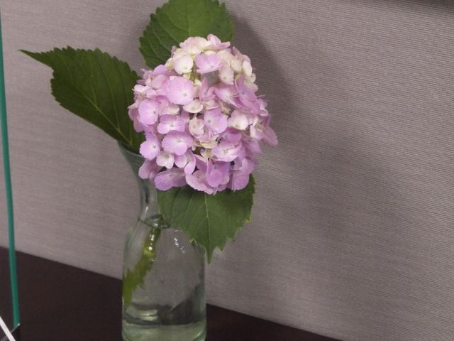花瓶に生けられた紫陽花 居室 居室に優しさを添える紫陽花が飾られ、落ち着いた雰囲気を演出しています。