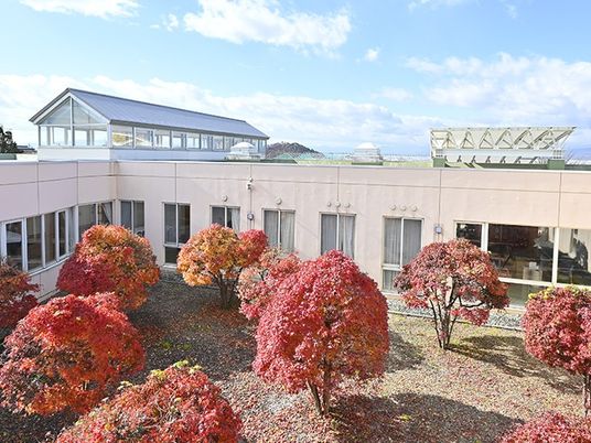 中庭の紅葉と建物  
