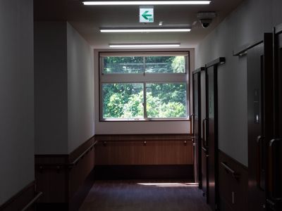 緑が見える廊下
