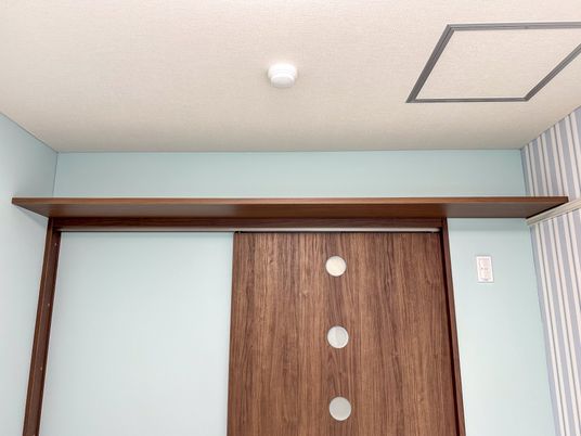 明るい居室の木製扉