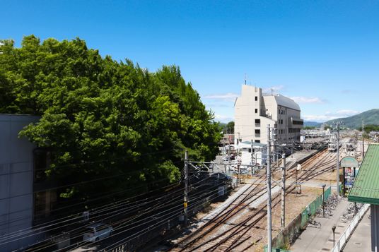 街と大きな木の景観