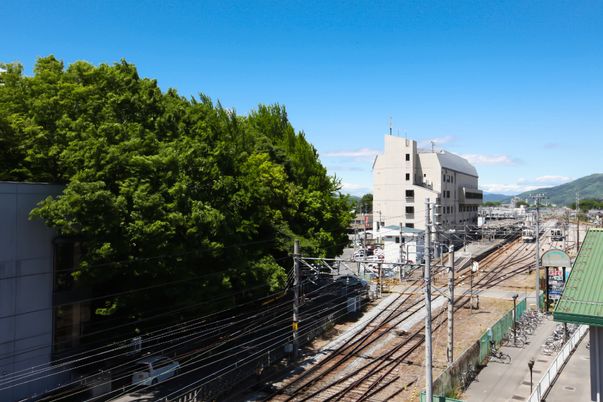 街と大きな木の景観
