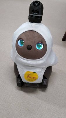 ケアロボットとの連携