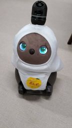 ロボットを介したケア