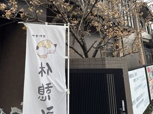 桜と門の外観  