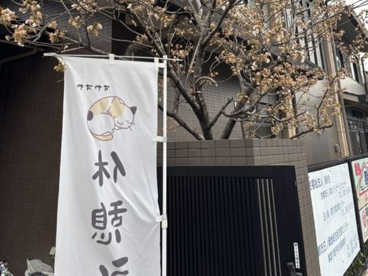 桜と門の外観  